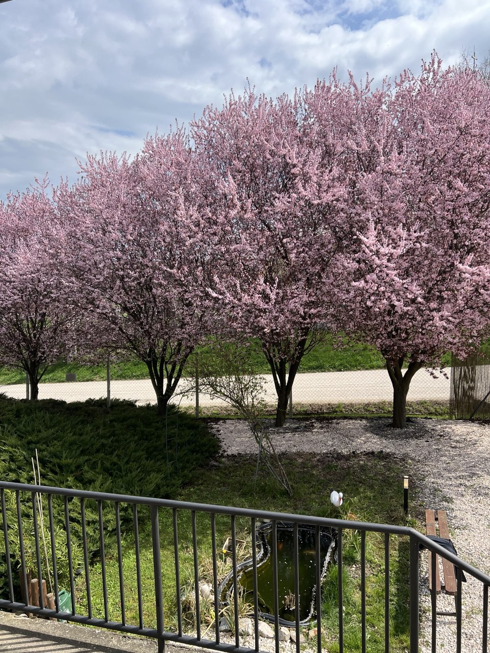 Pitná voda pre zvieratká 